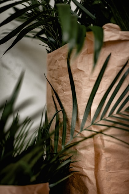 Innovative Green Technologies for a Sustainable Future